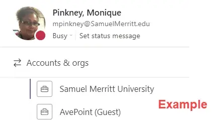 Screenshot of MS Teams Guest