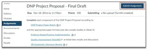 Screenshot of Canvas "submit assignment"