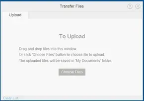 Screenshot of File Transfer