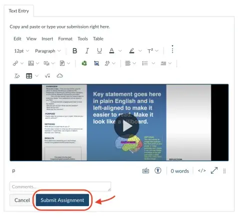 video assignment instructions - submit assignment
