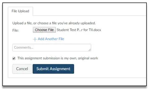 Screenshot of Canvas "Choose File" and "Comments"