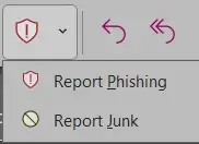 Report Phish Options