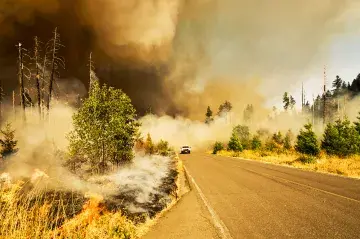 Wildfire with white truck