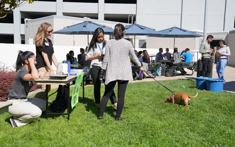 SMU Picnic