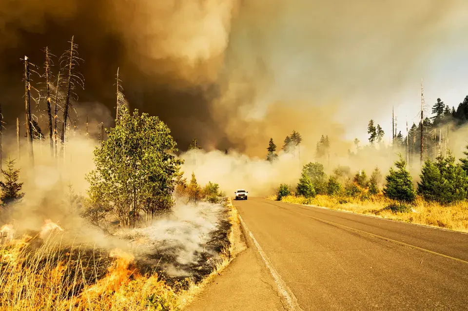 Wildfire with white truck